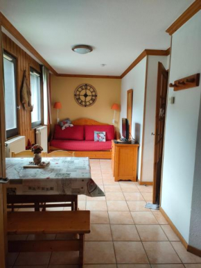 charmant appartement 2-4 personnes coeur de chamonix
